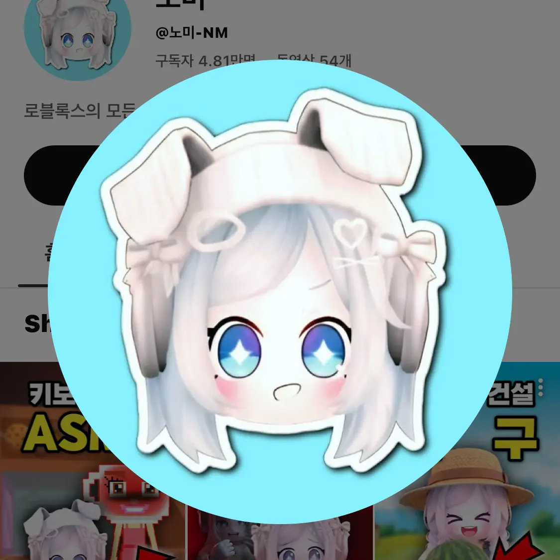 hwjwj의 팀아지트+여우