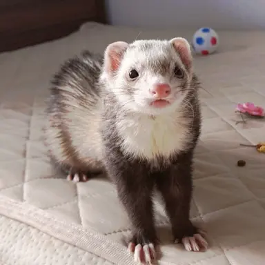 Profile image of ヒョンジン