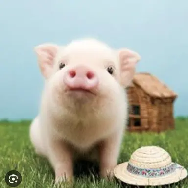 Profile image of チャンビン