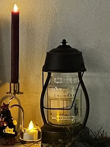 LiveLion2512의 나만의 세계관