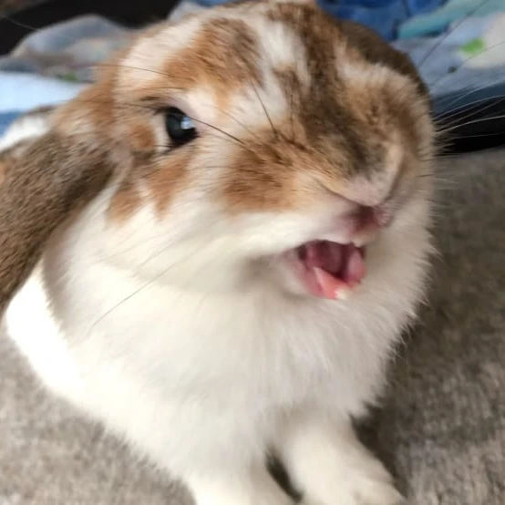 이민호