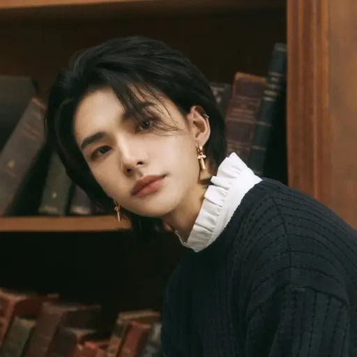 straykids_hyunjin의 황현진