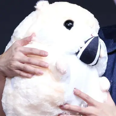 Profile image of ホンジュン