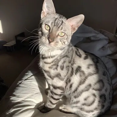 Profile image of 진주