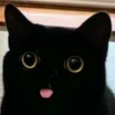 Profile image of 잭