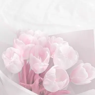 Profile image of 밥풀