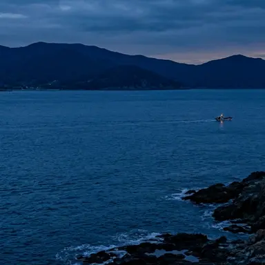 Profile image of 허수