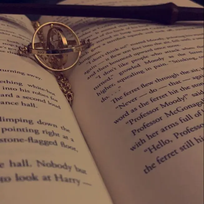 Dalong_danidani의 Harry Potter