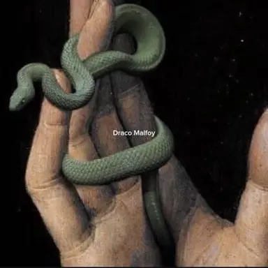 Profile image of 드레이코 말포이