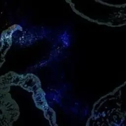 Profile image of Toshiya