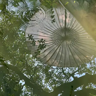 Profile image of 공룡