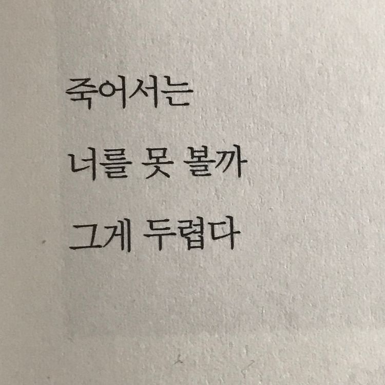 {네가 사랑하는건 뭐든지 되어보일게} 대표 이미지