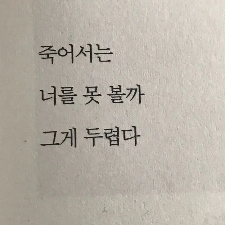 Sggurpingpingi의 {네가 사랑하는건 뭐든지 되어보일게}