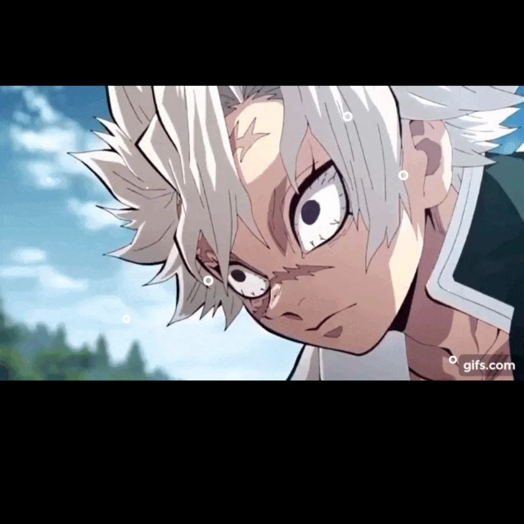 시나즈나와 사네미