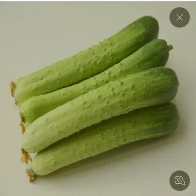 Profile image of 오이씨