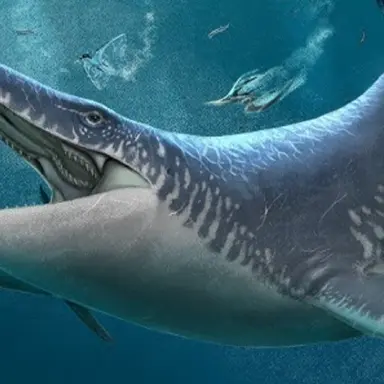 Profile image of 모사사우루스