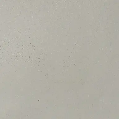 Profile image of ブリ子