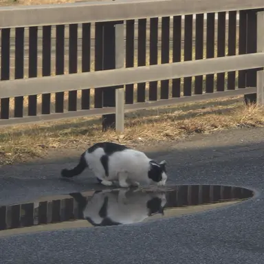 Profile image of 나경