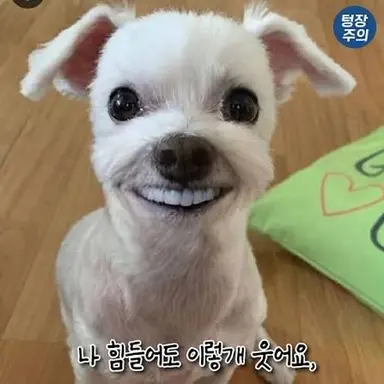 Profile image of 늑데