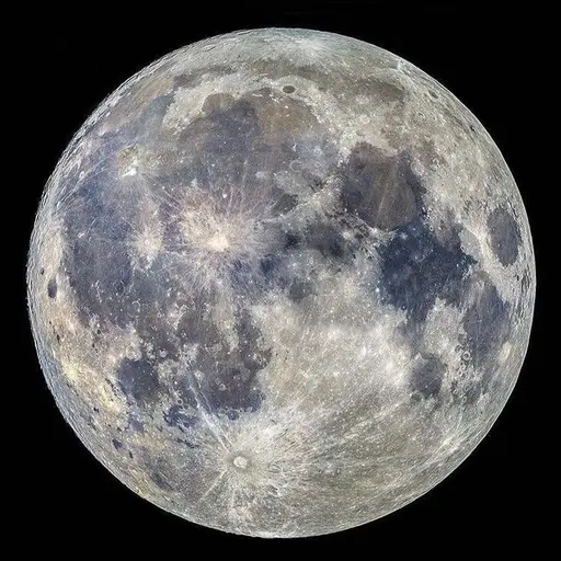 Oasis의 남윤수