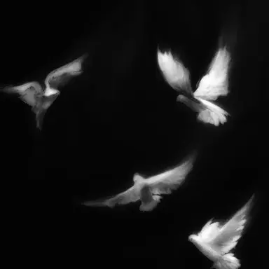 Profile image of 도경수