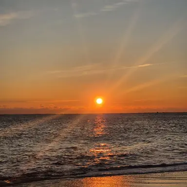 Profile image of 동코