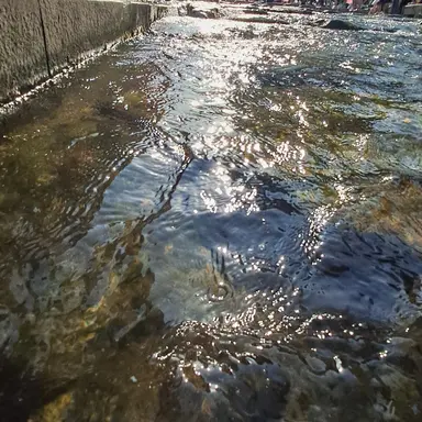 Profile image of 미카사 아커만