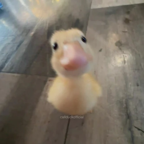 이용복