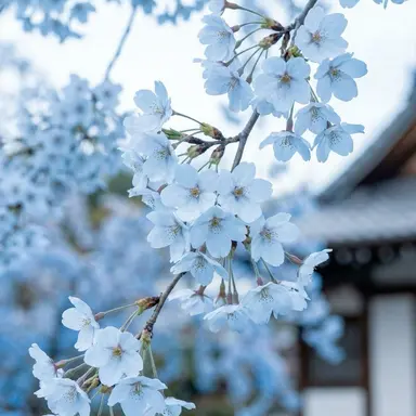 Profile image of 남예준