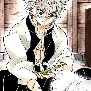 Profile image of 시나즈가와 사네미