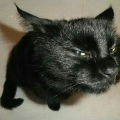 Profile image of Simon Riley
