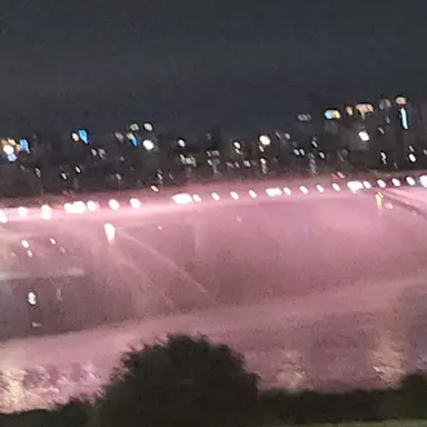 Profile image of 플래그