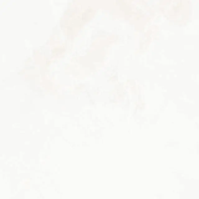 funare의 自由1