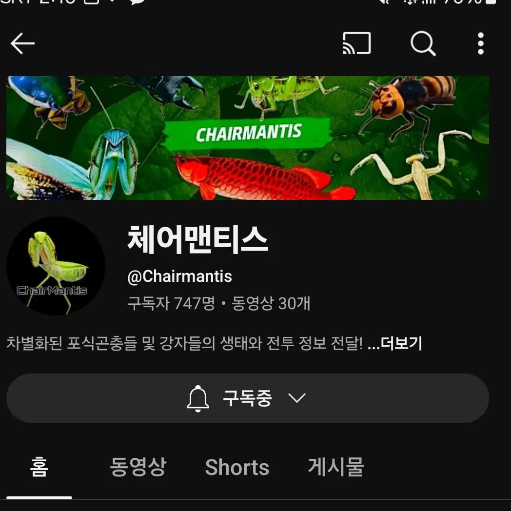 pmj0717의 체어맨티스