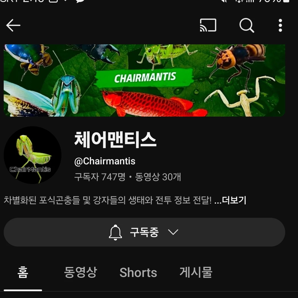 체어맨티스
