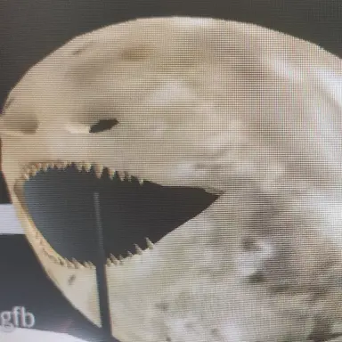 Profile image of 금성레아