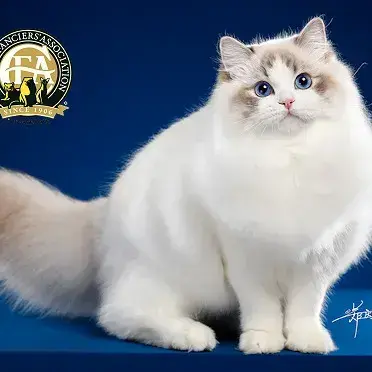 WideCarp6280의 오비스트 클럽