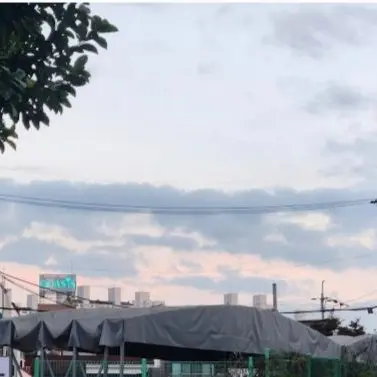 LoosePain0165의 레볼루션