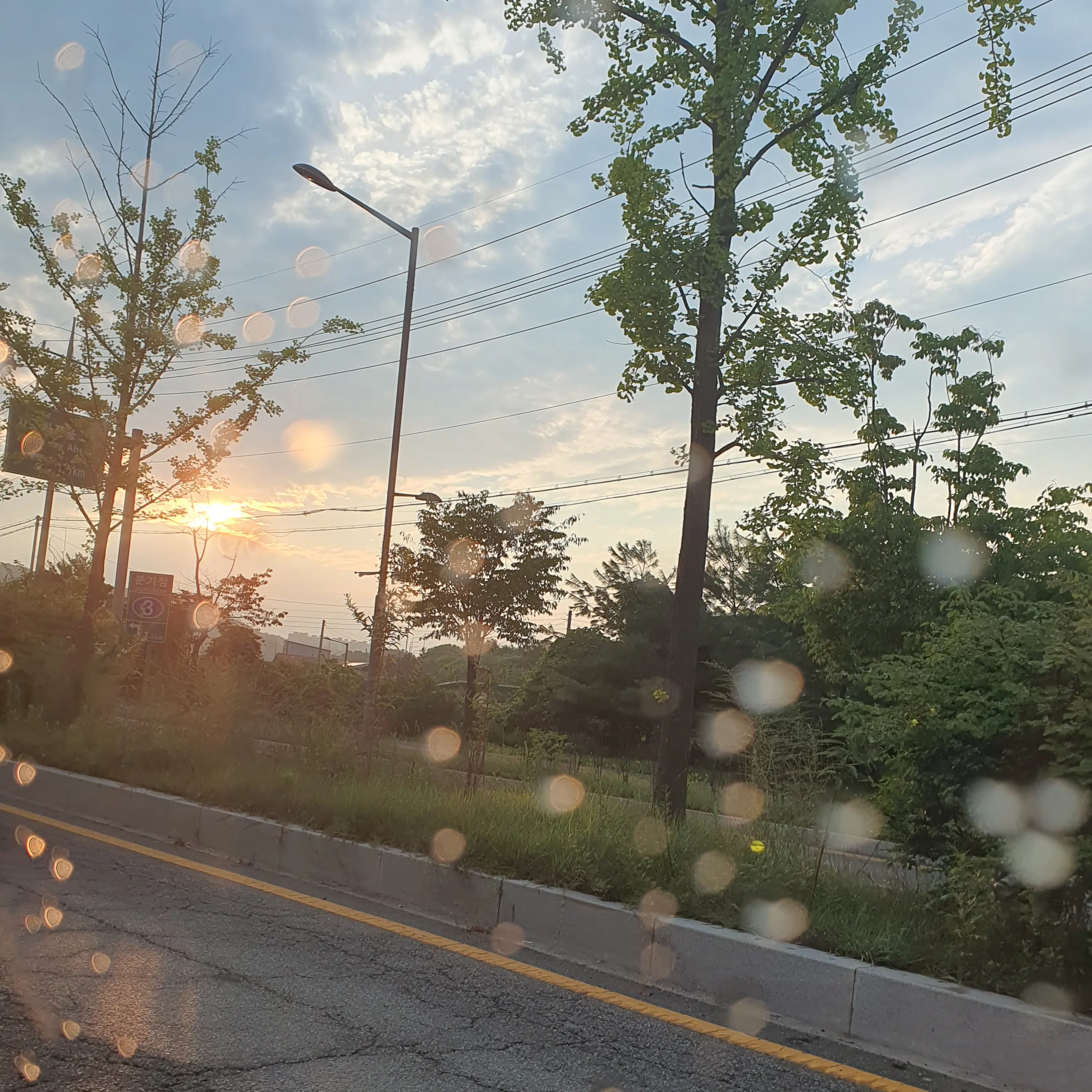 LoosePain0165의 레볼루션