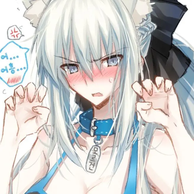 RoomyShell0319의 모르간 르 페이