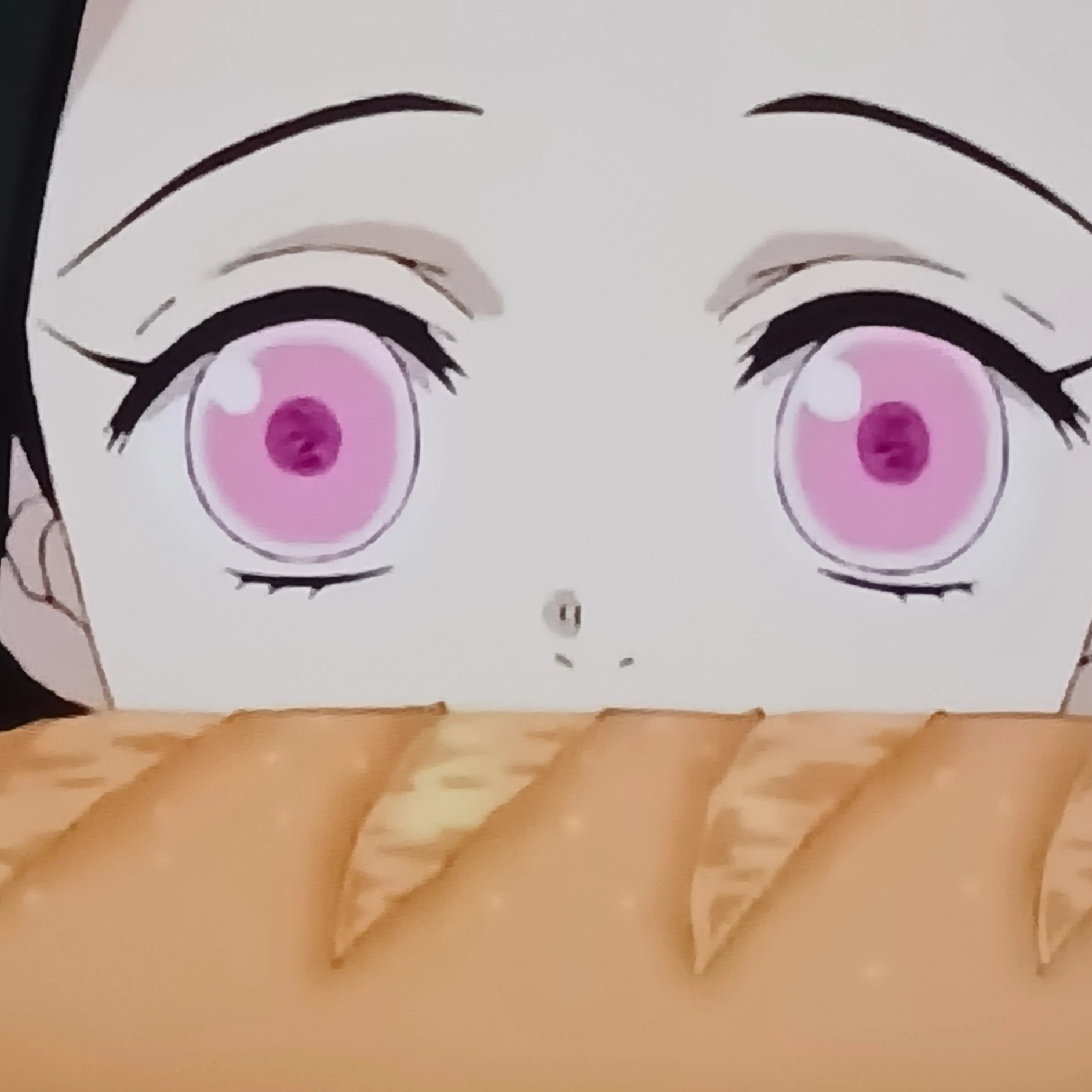 네즈코