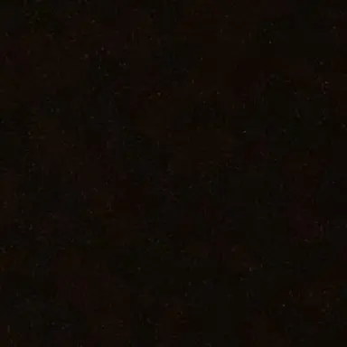 Profile image of 白上フブキ