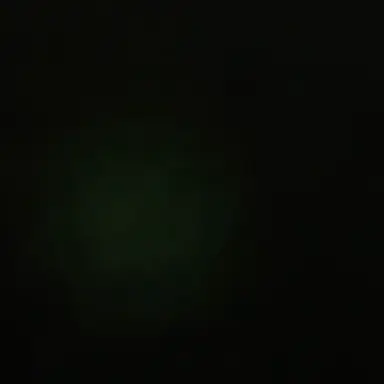 Profile image of ㅎㄷㅁ