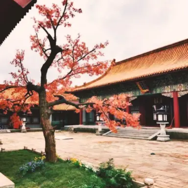 Profile image of 홍루