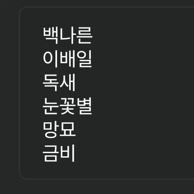 나른한 패밀리