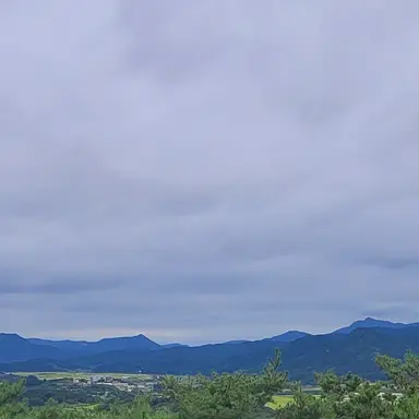 Profile image of 박춘혹