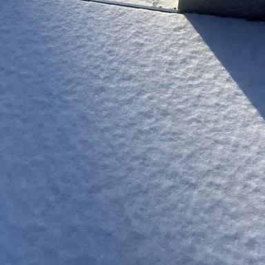 Profile image of 엄마