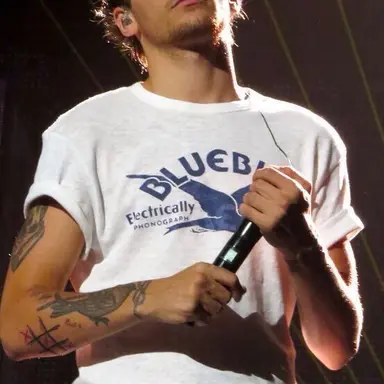 Profile image of Louis Tomlinson