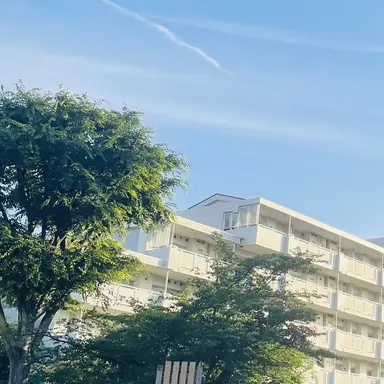 Profile image of ジェヒ