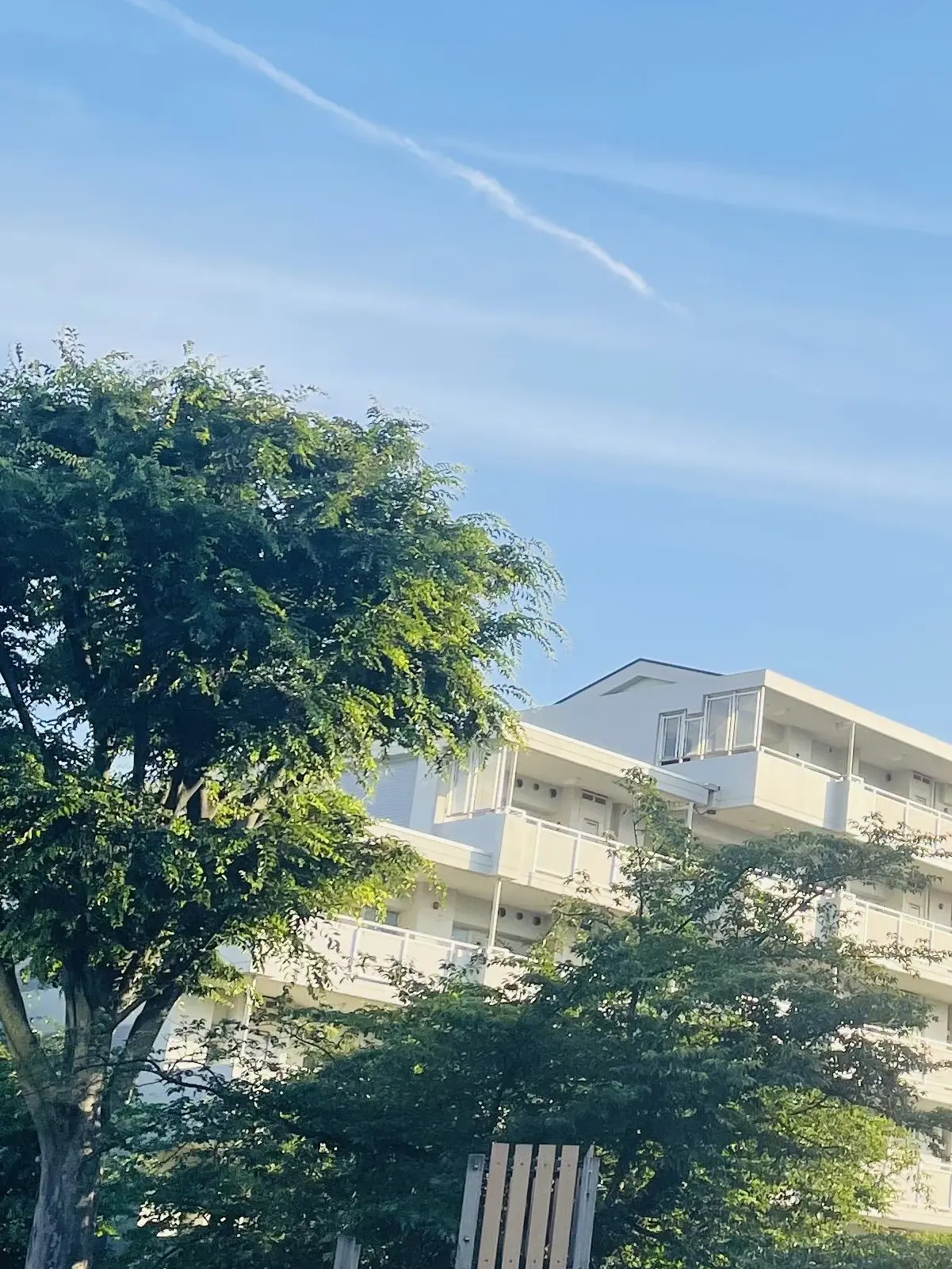jisjae_isfp의 俺だけの